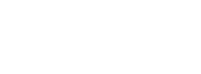 WildTornado logo